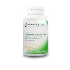 Vitaminity Phyllanthus niruri Extract